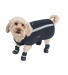 Neo-Paws all-new black neoprene jacket for dogs