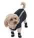 Neo-Paws all-new black neoprene jacket for dogs