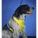 Neo-Paws yellow rain hood for dogs to stay dry in wet weather
