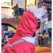 Neo-Paws red rain hood jacket for dogs providing waterproof protection