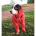 Neo-Paws red rain hood jacket for dogs providing waterproof protection