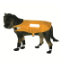 Neo-Paws dog safety vest for high visibility and protection