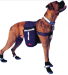 Neo-Paws blue dog saddle bags for carrying essentials