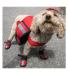 Neo-Paws red dog saddle bags for carrying essentials