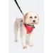 Neo-Paws dog seat belt for car safety and secure travel