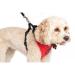 Neo-Paws dog seat belt for car safety and secure travel