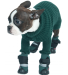 Neo-Paws green dog sweater to keep pets warm and cozy