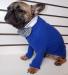Neo-Paws blue dog sweater to keep pets warm and coz