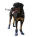 Neo-Paws Blue orthopedic dog shoes for summer indoor and outdoor use