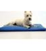 Neo-Paws COOL BED III® keeps dogs cool, comfortable, and supported