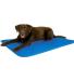 Neo-Paws COOL BED III® keeps dogs cool, comfortable, and supported
