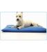 Neo-Paws COOL BED III® keeps dogs cool, comfortable, and supported