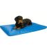 Neo-Paws COOL BED III® keeps dogs cool, comfortable, and supported
