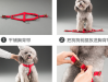 Neo-Paws dog collar, harness, and leash sets for pets