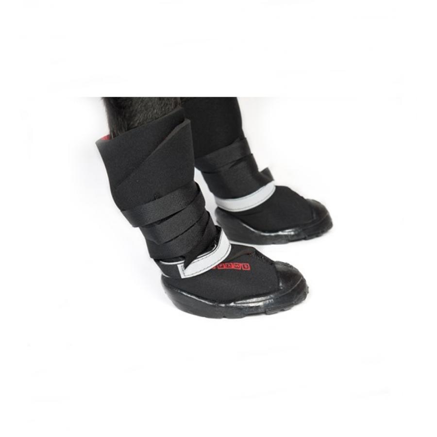 NEOPRENE REGULAR Shoes & Boots For Dogs Buy Online
