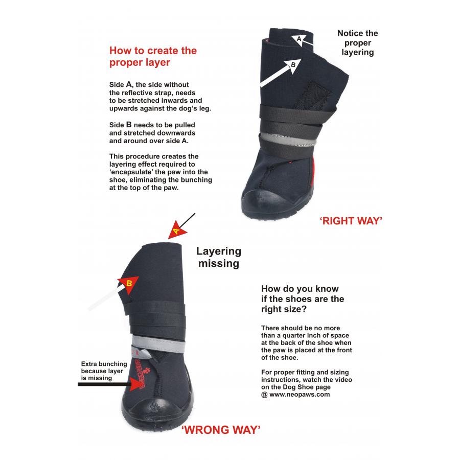 NEOPRENE REGULAR Shoes & Boots For Dogs Buy Online