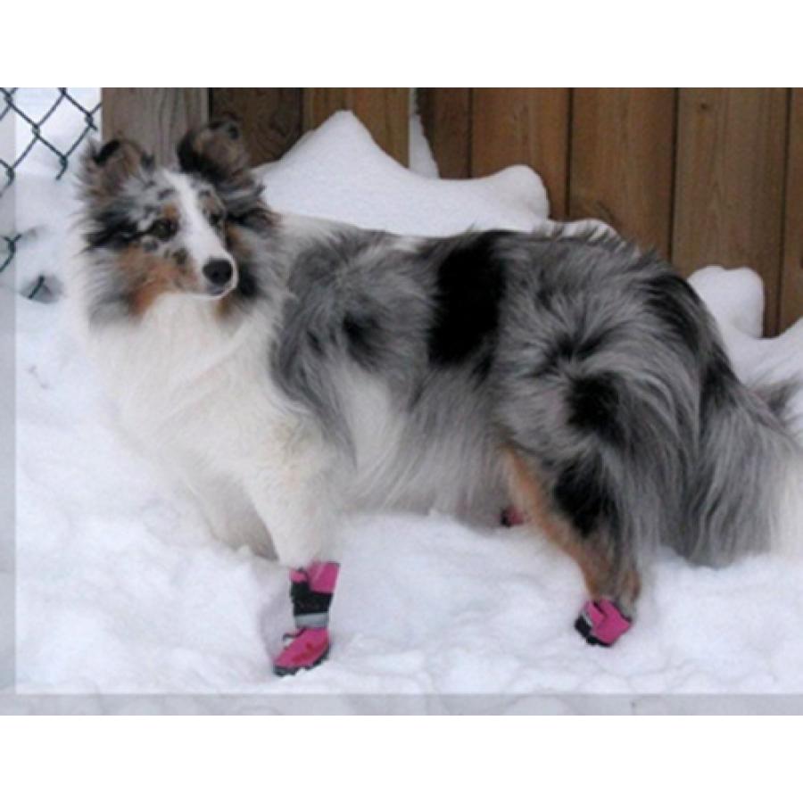 Colour Regular Performance Winter Shoes For Dogs Performance Boots