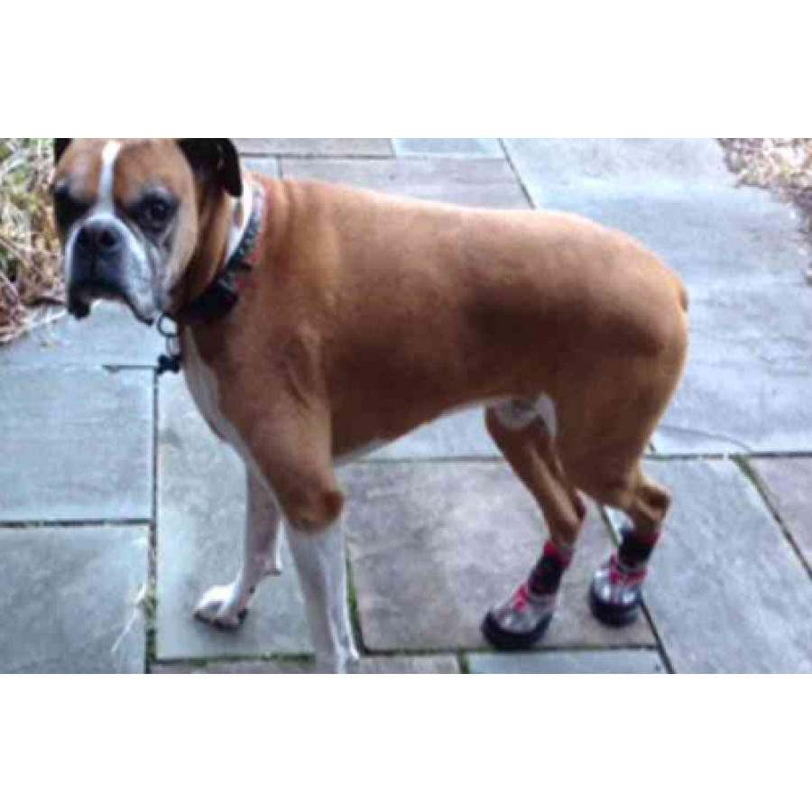 SUMMER REINFORCED ENERGY ORTHOPEDIC SHOES NEOPAWS