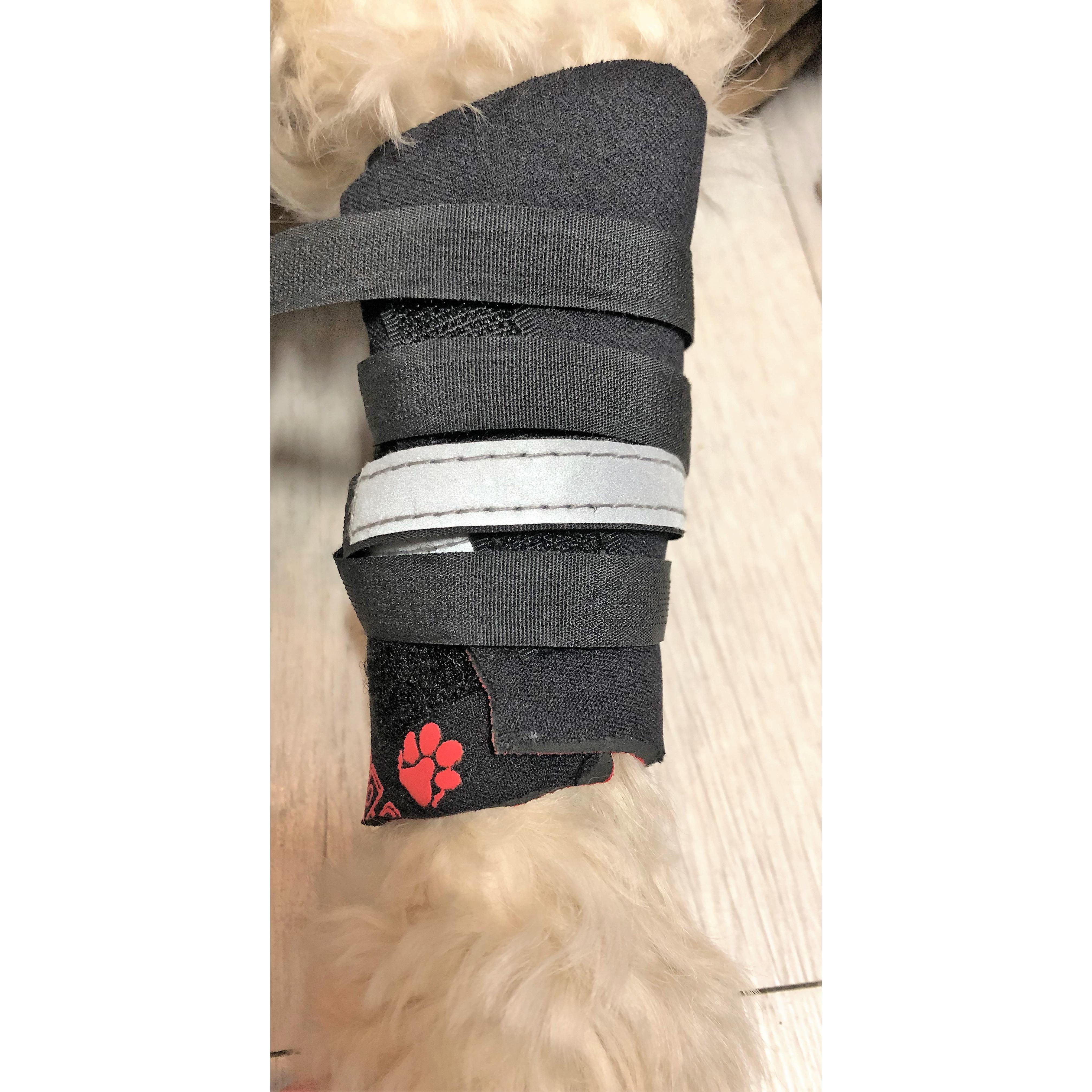 Leg wraps for dogs, Neoprene leg wraps for Dogs with arthritis