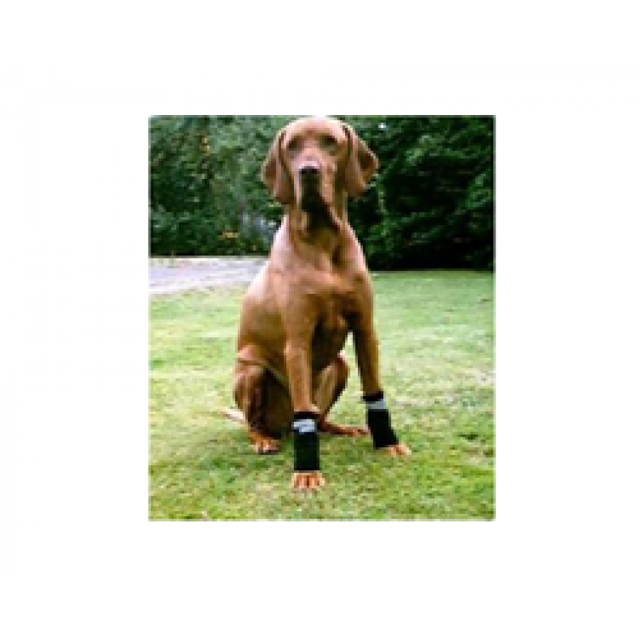 Leg wraps for dogs Neoprene leg wraps for Dogs with arthritis Neopaws