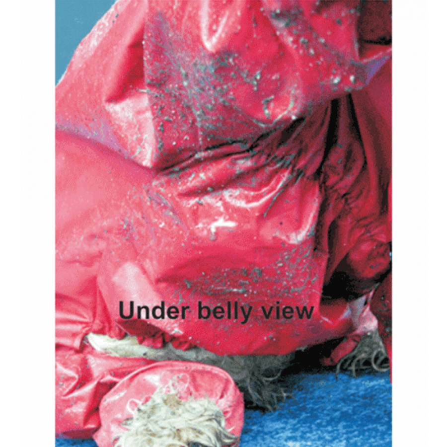 RAIN/BODY SUIT (RAINCOAT) - NEO-PAWS