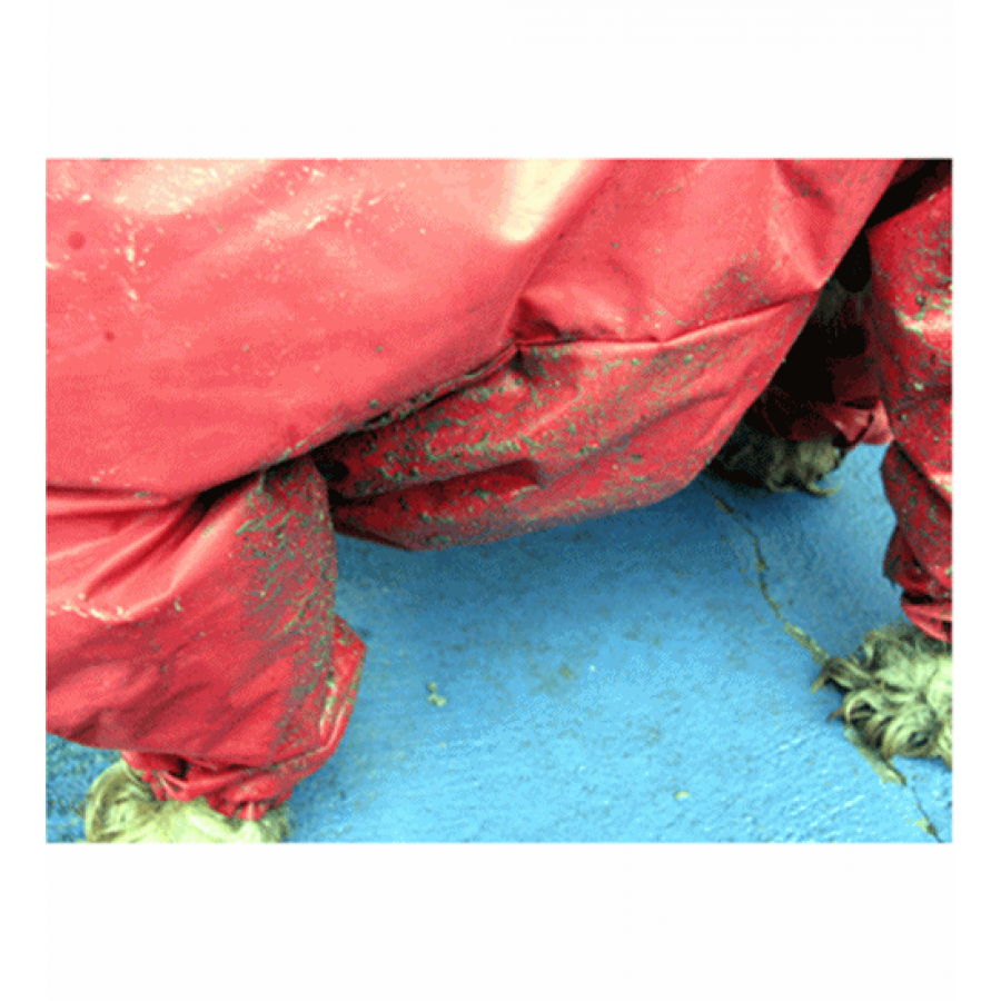 RAIN/BODY SUIT (RAINCOAT) - NEO-PAWS