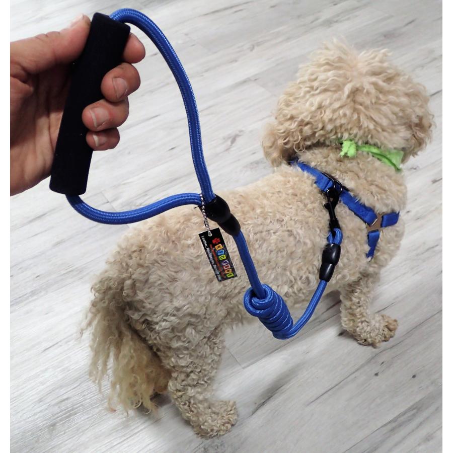 Collar, Harness & Leash sets Dog Collar with leash Combo Neopaws