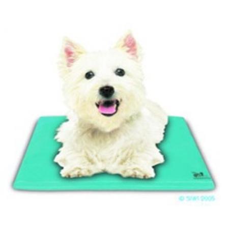 Canine cooler large Clearance